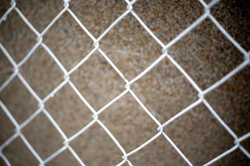 Wire Mesh Fence Installation in Pearland, TX